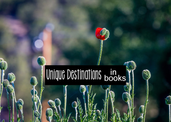 Books With Unique Travel Destinations