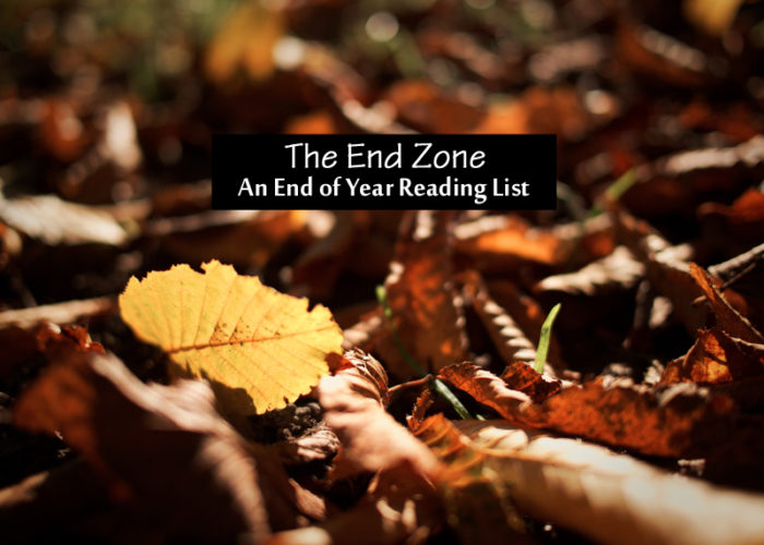 The End (Z)one {An End of 2017 Reading List}